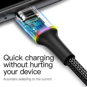 Câble USB Type C Chargeur Rapide pour Mobile téléphone - 50 CM